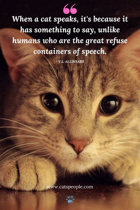 101 Funny cat quotes | Cat quotes, Cat quotes funny, Cats | Cat quotes ...