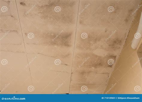 Water Damaged Ceiling Royalty-Free Stock Photo | CartoonDealer.com ...