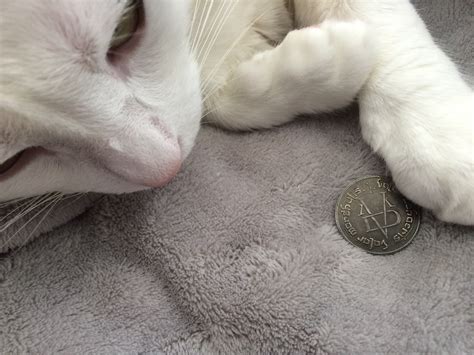 Game of Thrones’ Precap: Tyrion’s Uncomfortable Journey, the Missing in