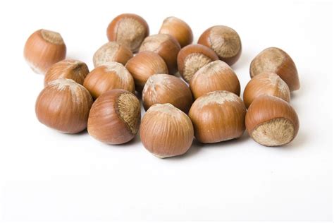 Premium Quality Turkish Hazelnut Natural Roasted And Raw Hazelnuts ...