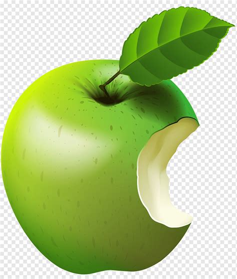 Яблоко зеленое картинка png
