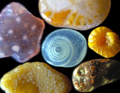 magnified sand | Tumblr