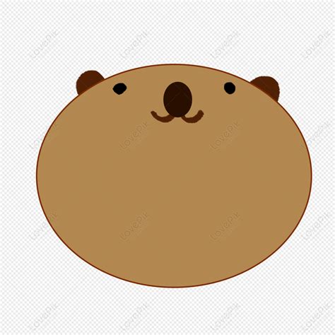 gambar bulat kartun  koleksi gambar