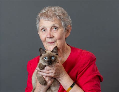 Toybob - The Cat Fanciers' Association