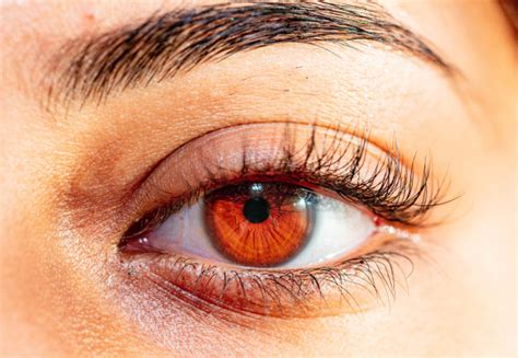 human eye australian photography