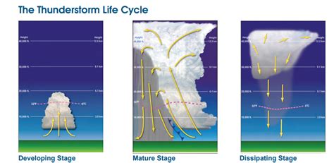 single cell thunderstorm life cycle