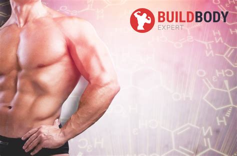Как увеличить уровень тестостерона в организме | BuildBody.Expert