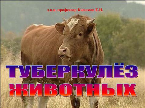 Туберкулез. Возбудитель туберкулеза - презентация онлайн