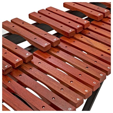 Xylophon von Gear4music, 3 Oktaven | Gear4music