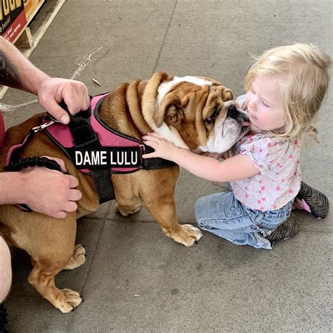 This little girl can right up to Lulu, grabbed her head and kissed her