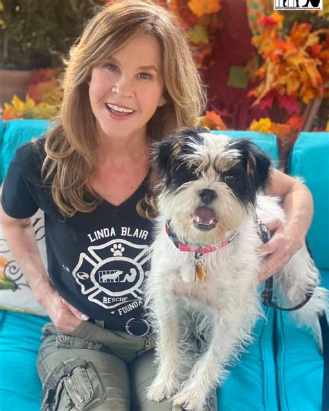 The Linda Blair... - The Linda Blair WorldHeart Foundation