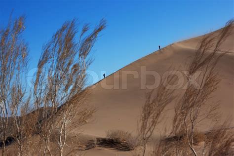 Two silhouette on dune in sand storm | Stock image | Colourbox