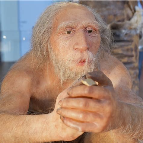 Homo Sapiens Reconstruction 86,000 Year Old Human Bone Shows Failed