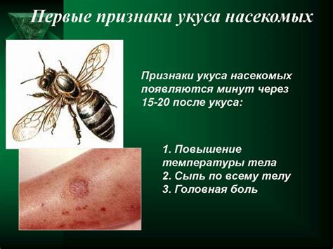 Первая помощь при укусах животных - презентация онлайн