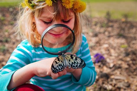Cute Girl Looking at Butterfy, Kids Learning Nature Stock Photo - Image ...