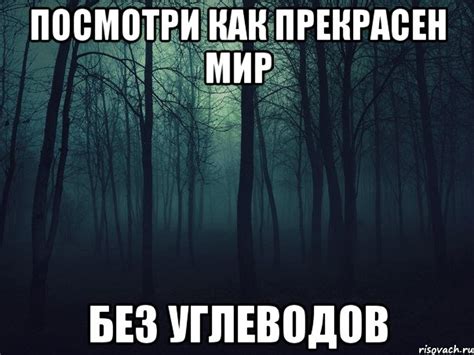 Посмотри как прекрасен мир без углеводов, Мем Тлен - Рисовач .Ру