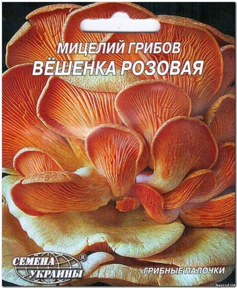 УЦЕНКА - Грибные палочки «Вешенка розовая», ТМ «СЕМЕНА УКРАИНЫ» - 10 ...