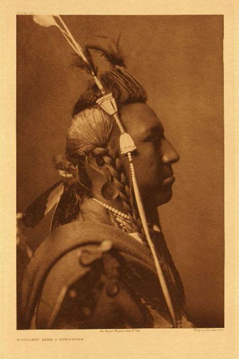 20 ретро фотографий американских индейцев - коренных жителей Северной ...