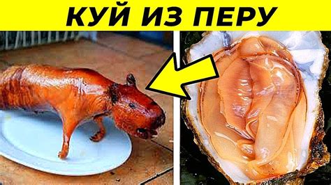 10 Самых Необычных Блюд в Мире - YouTube