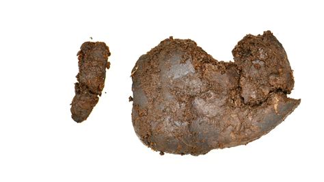 Well-preserved human remains thought to be up to 2,500 years old ...
