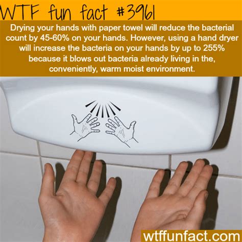 drying your hands with paper towel vs hand dryer