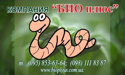Черви для биогумуса - купить червей для рыбалки дождевой червь цены ...