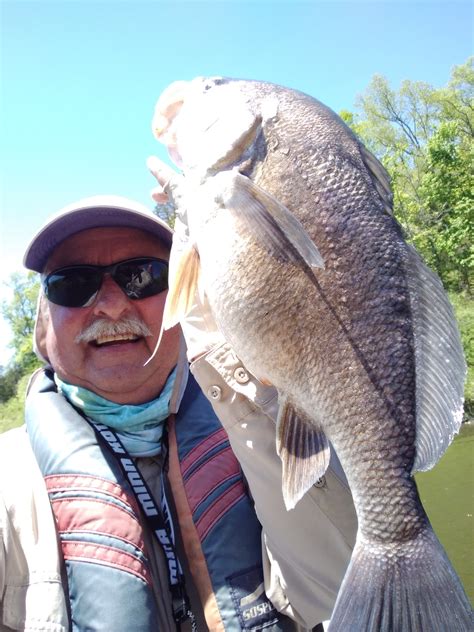 taylorsville lake elkhorn angler