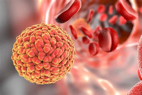 DNA Vaccine: A New Universal Vaccine Platform | Communicating Science ...