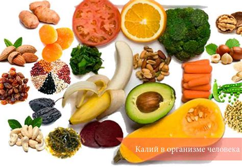 Калий в организме человека - Proexpress.com.ua