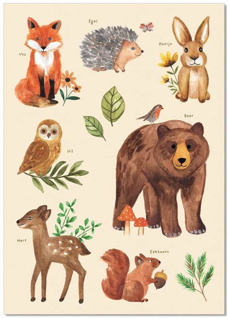 Posters | Vossen schilderij, Illustratie dieren, Bos illustratie