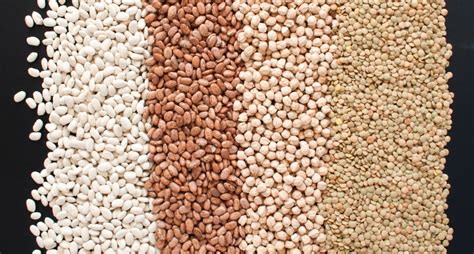 healthy eating   creative  dried beans