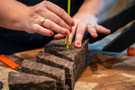 Floral foam alternatives - Sustainable Floristry Network