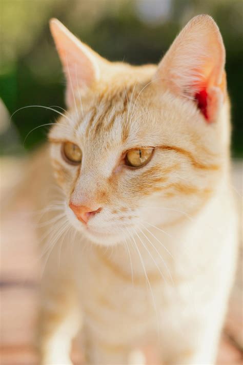 Gambar+Orang+Ngentot Photos, Download The BEST Free Gambar+Orang