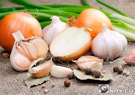 Фитонциды: что это, где содержится, список продуктов. Польза и вред для ...