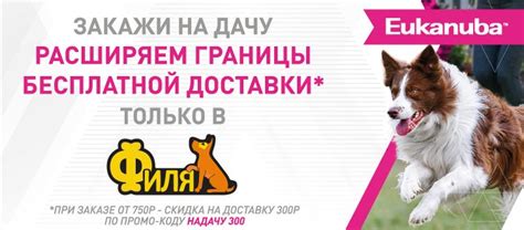 Филя - Зоотовары в Санкт-Петербурге