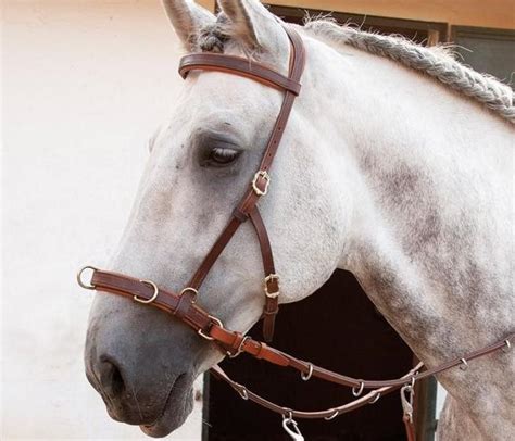 O Que Significa Cabresto - Tipos de cabrestos para cavalo