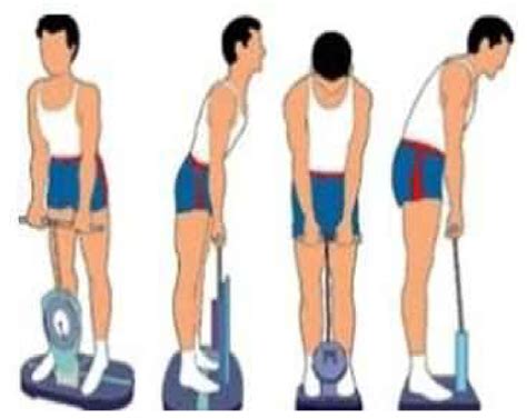 Strength Exercise Of Back at Jonathan Whelchel blog