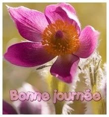 Pause amicale et gourmande