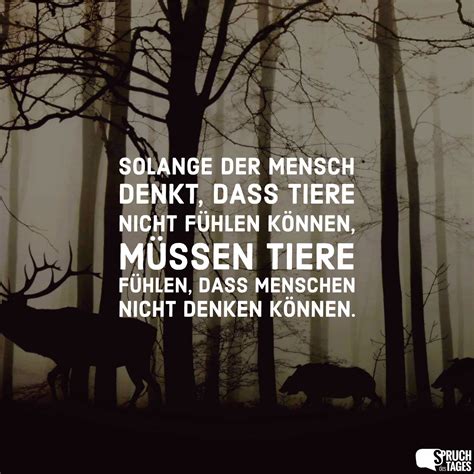 Auch Sie Konnen Wieder Junger Werden 1