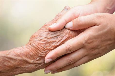 Is Navigating Elderly Care Difficult? HealthYeah! | Excy | Elderly care ...