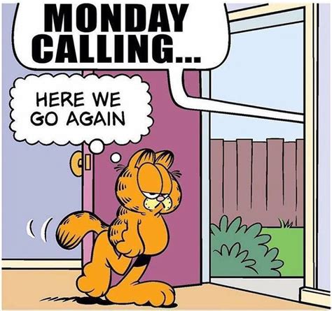 Pin by Brittany Buck on Garfield | Garfield quotes, Monday humor ...