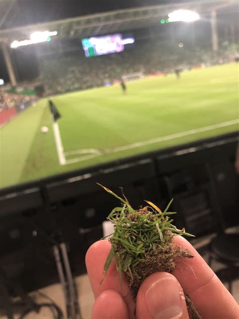 I got a nice souvenir from last night’s game from the side the first