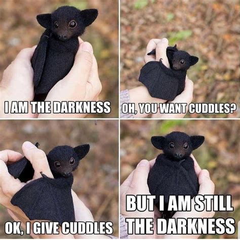 I Iam The Darkness Oh You Want Cuddles But I Am Still Ok I Give Cuddles ...