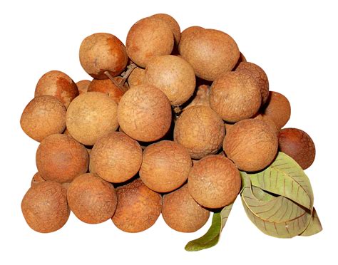 longan png image