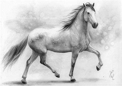 Horse Art PRINT Galloping White Mare Pencil Drawing Print - Etsy ...