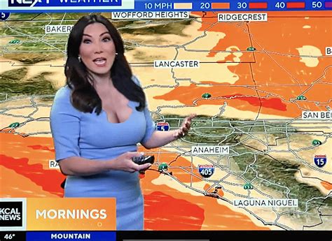 Amber Lee KCAL Los Angeles : r/CurvyNewsWomen