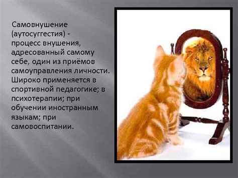 САМОВНУШЕНИЕ И его влияние на здоровье человека