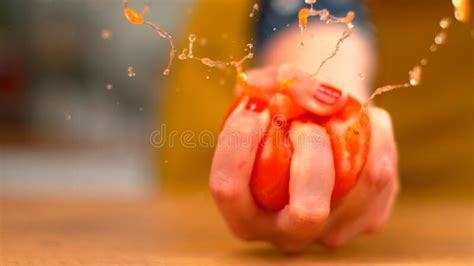 MACRO, DOF: Organic Tomato Explodes in a Female Chef S Hand As she ...