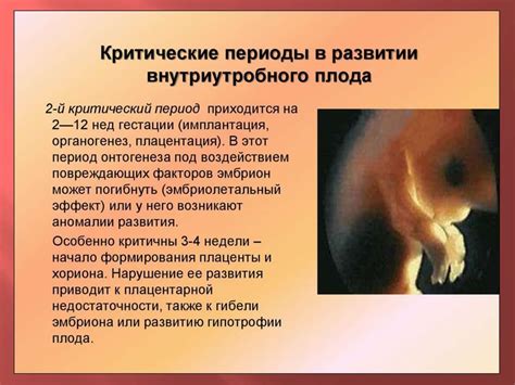 Внутриутробный период и период новорожденности - online presentation
