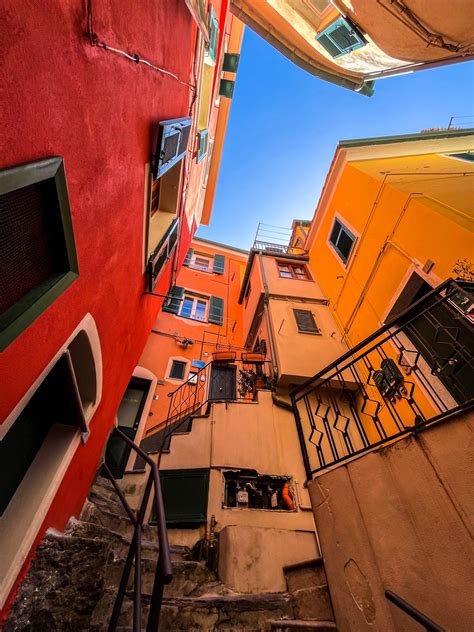 Travelers gather at pier 52 for the best sunset views 35